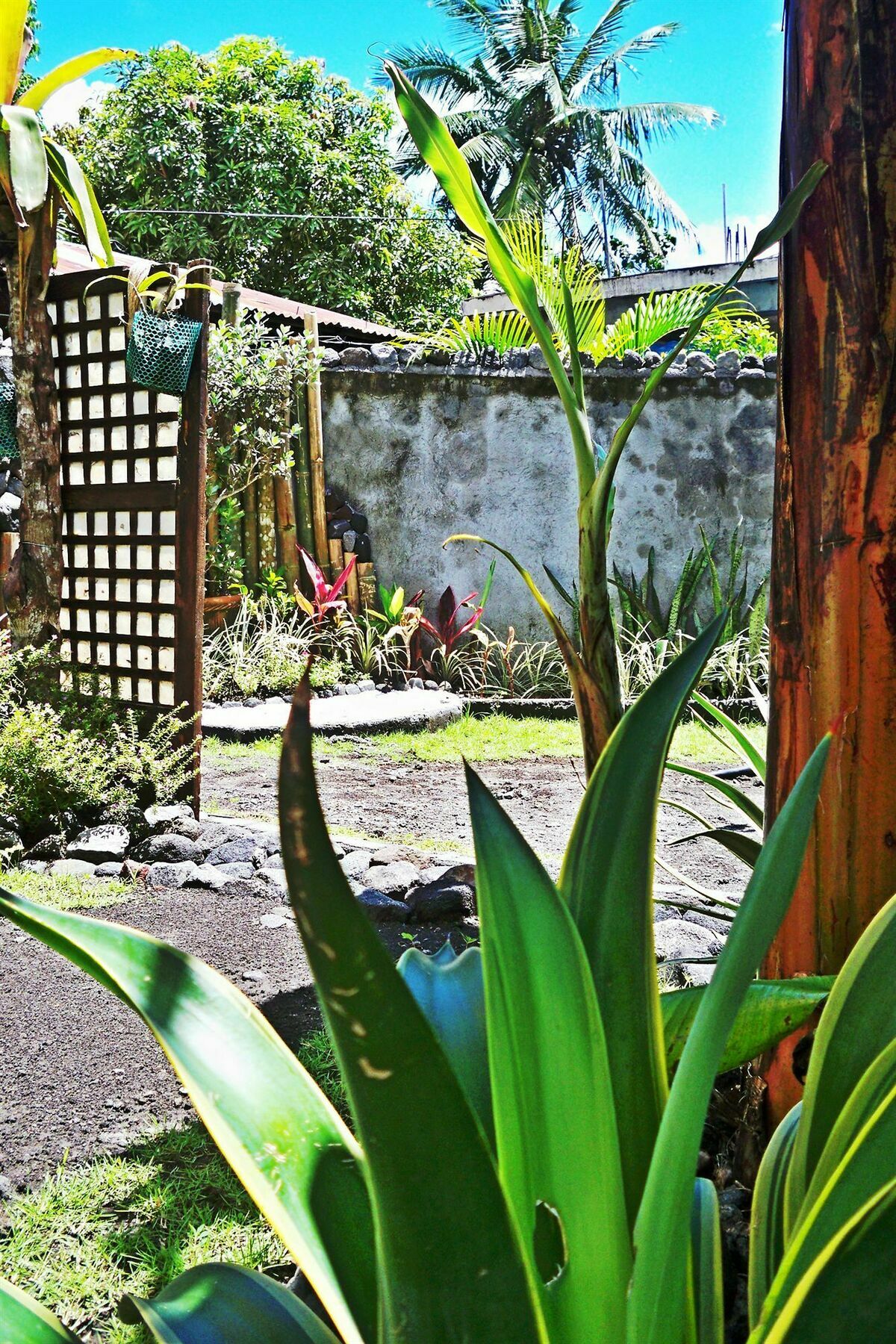 Balay De La Rama Bed & Breakfast Legazpi Dış mekan fotoğraf